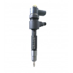 MWM New Bosch Injector